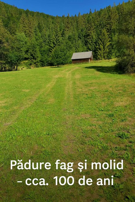 Teren intravilan + pădure  Scărișoara, jud. Alba – 7Euro/mp