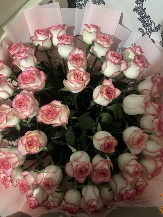 Цветы бу Шымкент