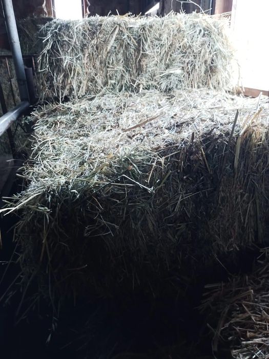 Продам сено в тюках
