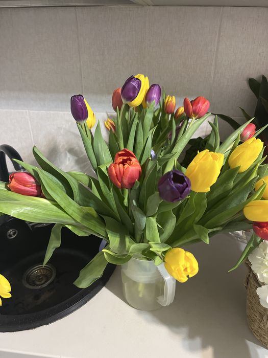 Продам цветы  букеты