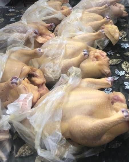 Vindem curcani tinuti in aer liber si hraniti cu uruiala