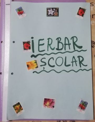 Ierbar școlar 30 plante