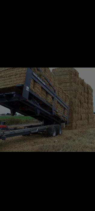 Samon pres narxi 19.ming