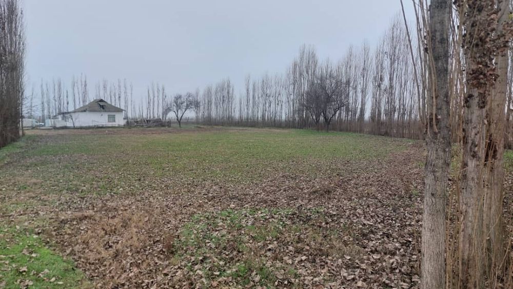 Продаётся  Дом 42 сотоки Куйчирчикски  р-он. Ташкентской области