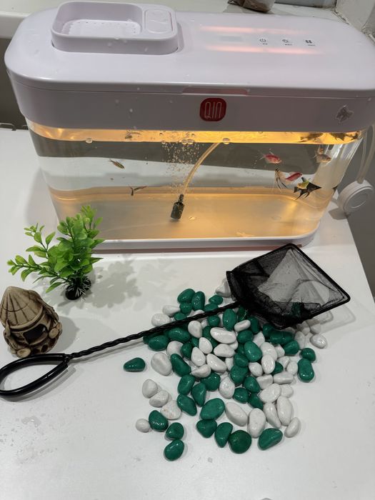 Аквариум на 10л с рыбками