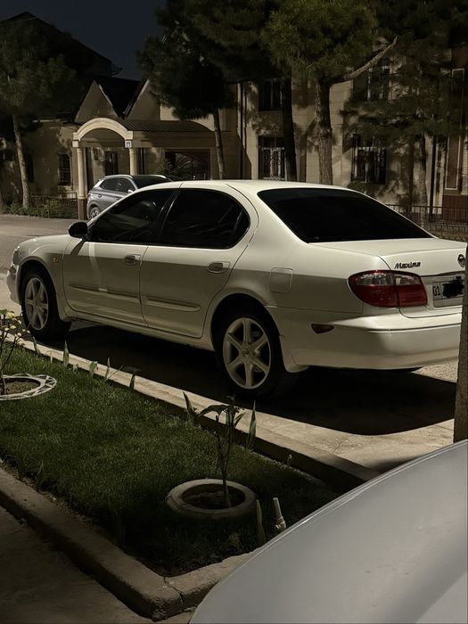 Nissan maxima ishqibozlari uchun dodasi