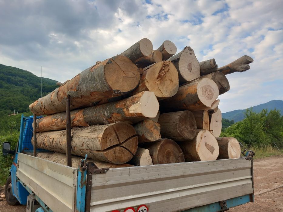 Lemn de foc fag buștean paleti de ceuri și deșeuri de fag