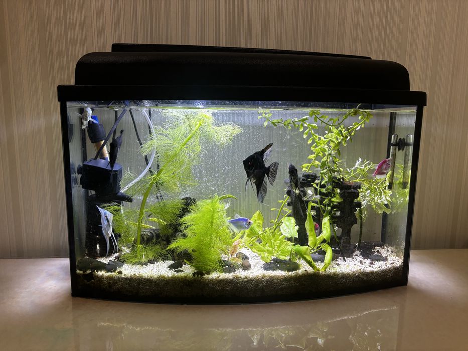 Аквариум 40 литров