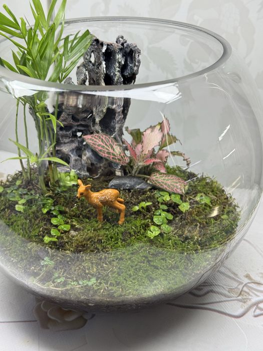 Продам флорариумы со мхом!