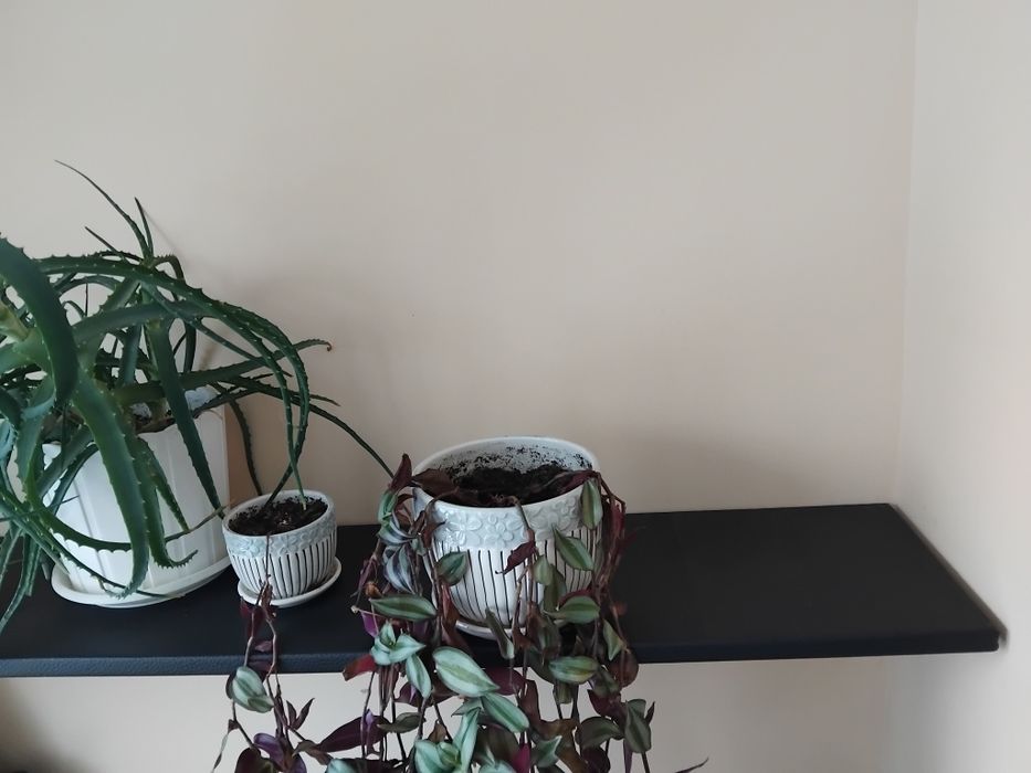 Кожена етажерка 140/25