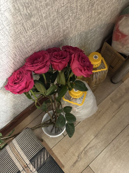 Свежие Красные Розы