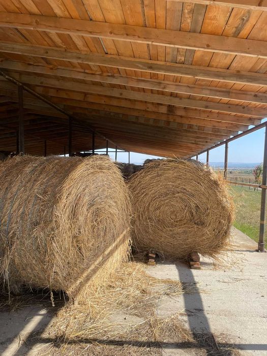 Vînd baloți de semănătură la 1.80 înălțime în jur de 500 600 kg