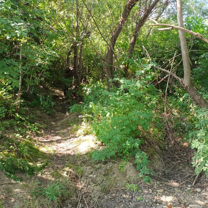 Vand teren intravilan sat Gura Vaii comuna Girov