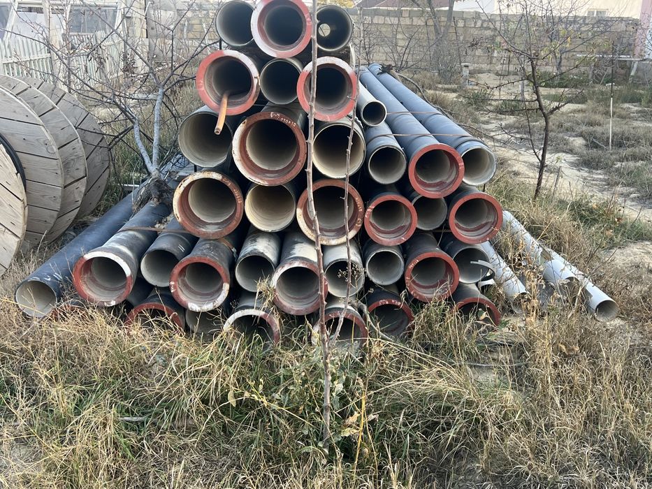 Чугонный трубый.