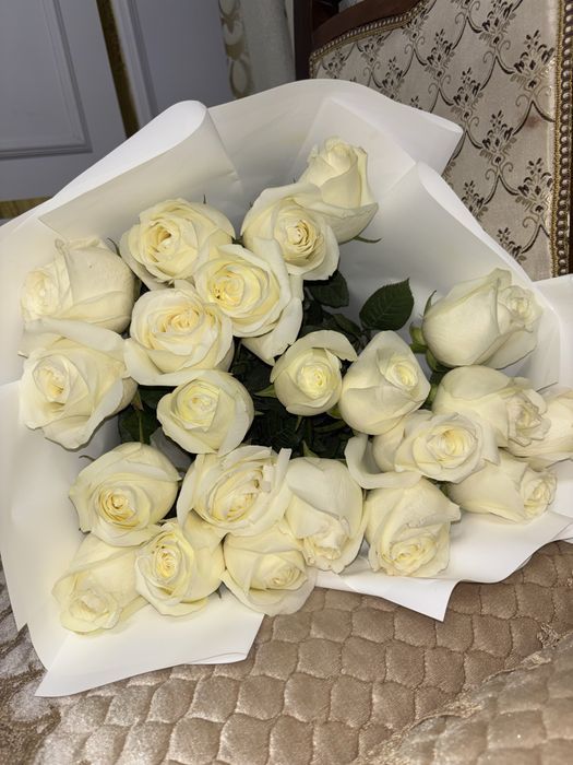 белые розы пышный,свежий