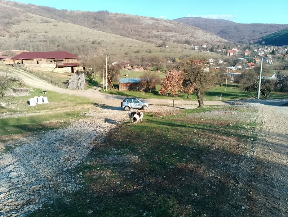 Продавам земеделска земя с.Боснек