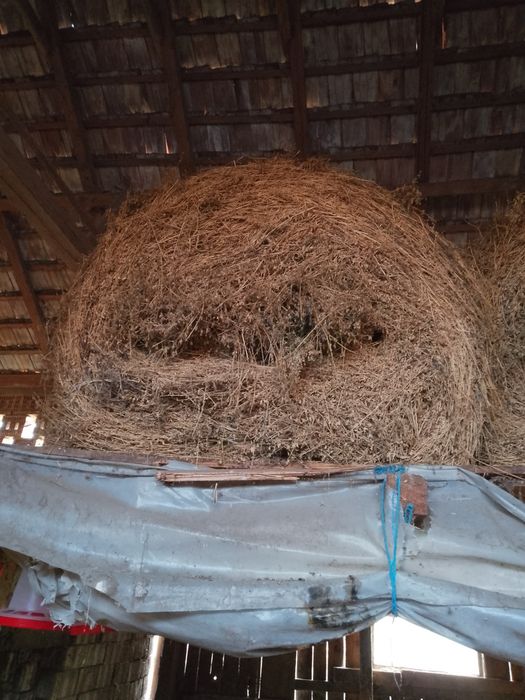 Baloți 150/120 de fân și lucerna