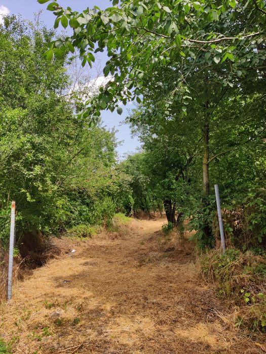 Teren cu vedere la iazuri