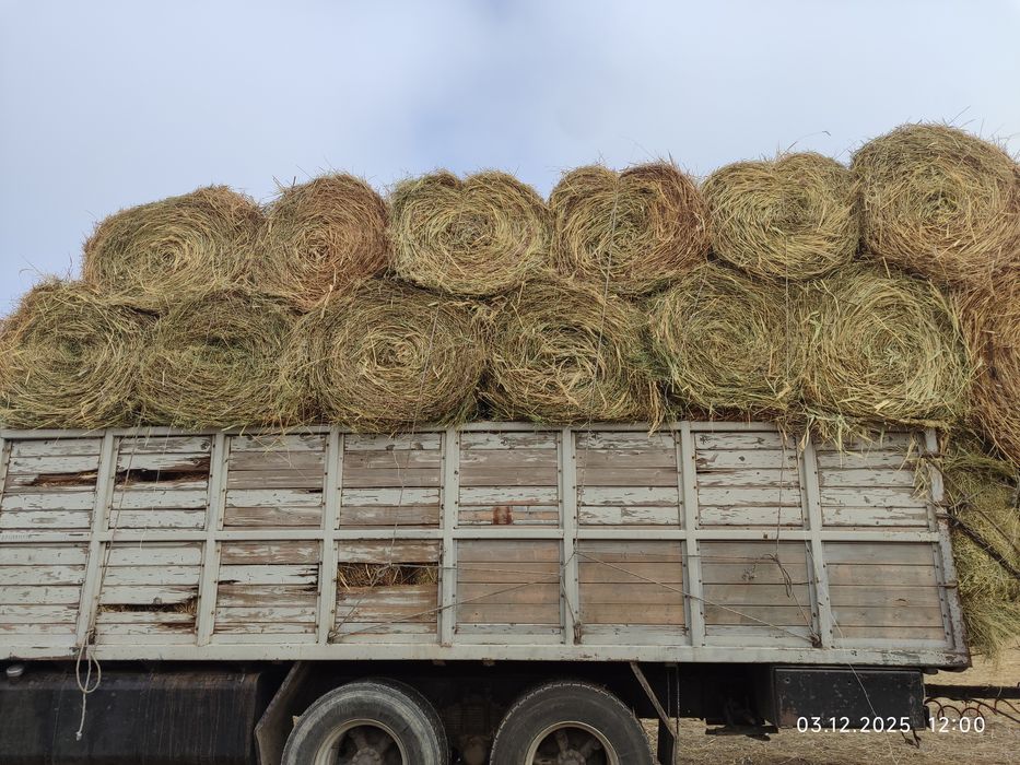 Сено Шоп Сатамыз Жонышка.