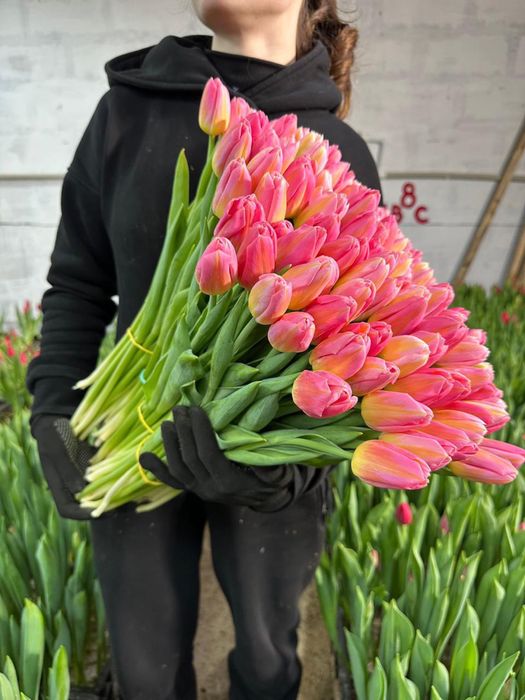 •цветы •тюльпаны