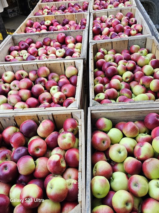 Mere de vanzare Dâmbovița