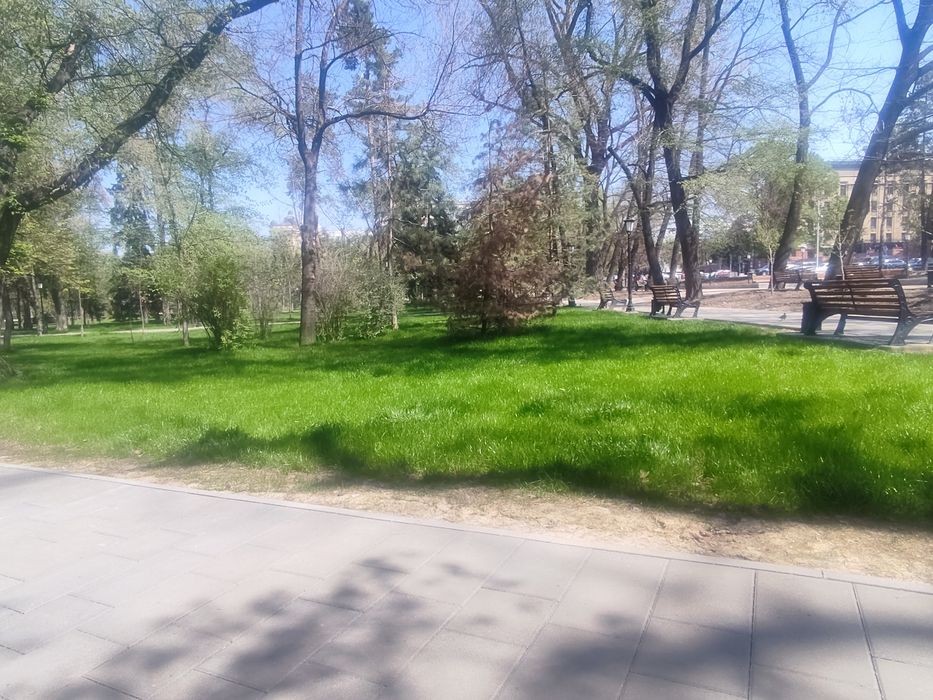 Гидропосев газона