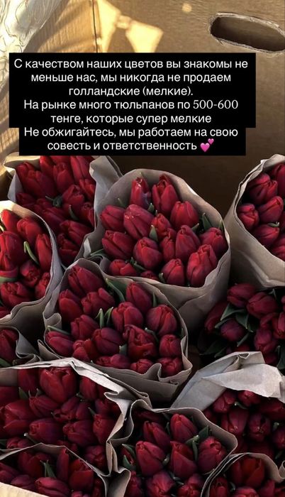 Тюльпаны банчами