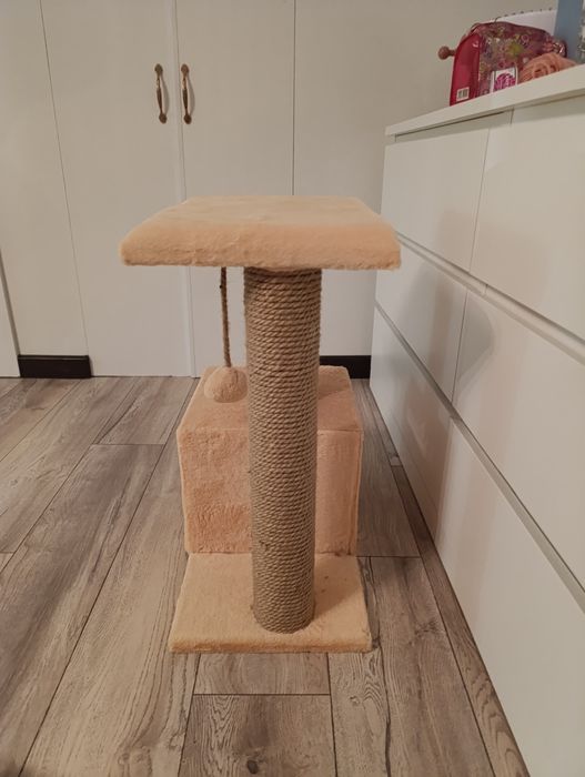 Новый Домик когтиточка