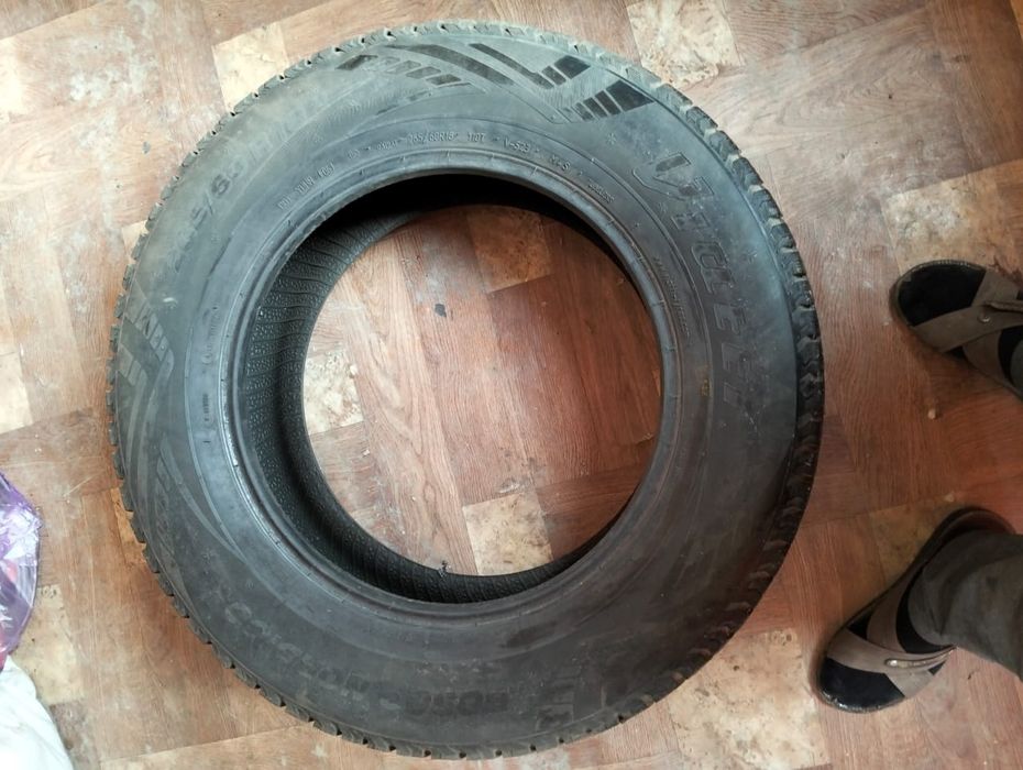 Продам зимние шины (шипы)!