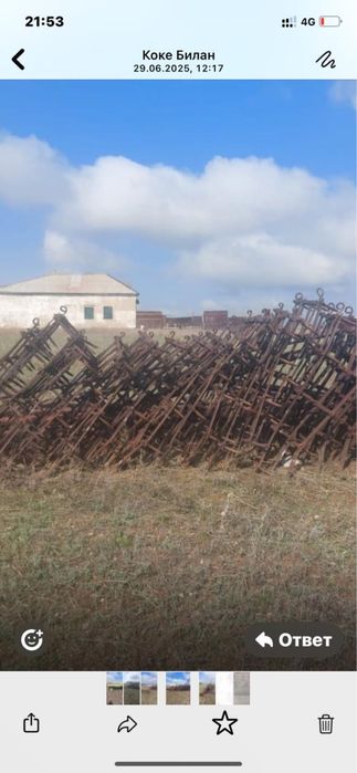 борна 4 0 ш т у к