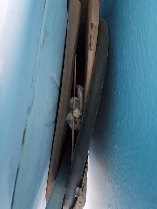 Газовая плита Indesit