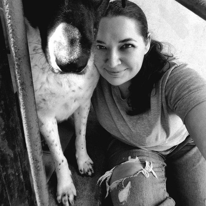 Разходка на кучета/Гледачка на котки/Dog walking/Pet sitter