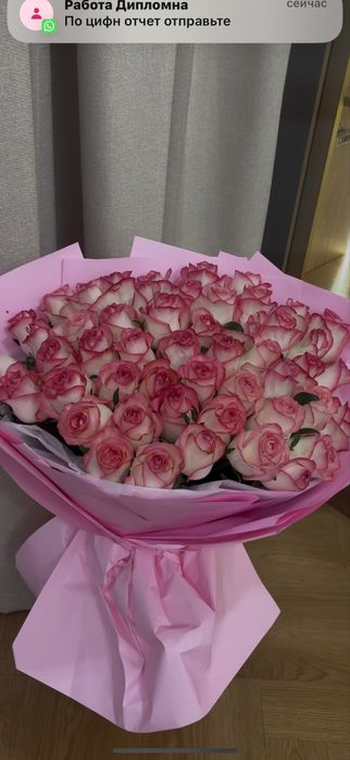 Роза 51 метровые