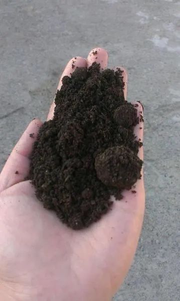 Biogumus quroq mayda elak