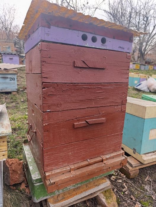 Улья для пчел  продам