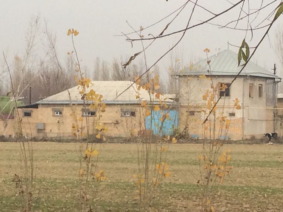 База 15 соток + оборудование молочной линии
