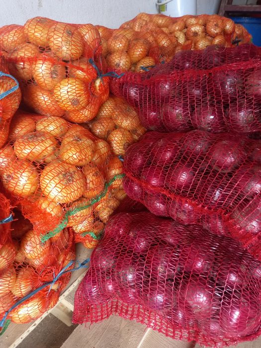 Ceapa alba românească și ceapa rosie