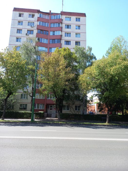 Apartament 3 camere