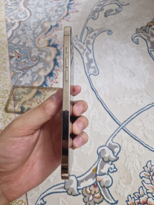 Iphone 12 PRO MAX