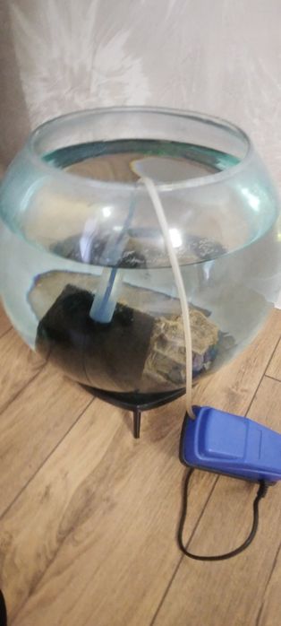 Аквариум с рыбками и насосом