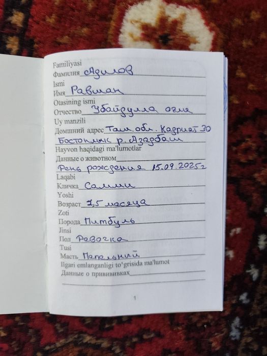 Срочно продаётся Питбуль