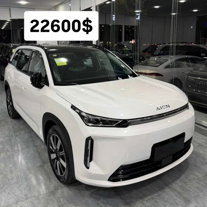 Gac aioni60 2025/2026 masla gibrit