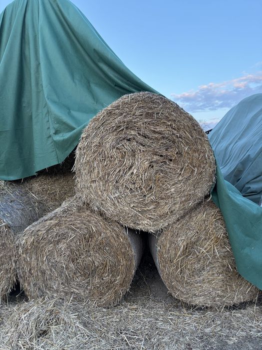Baloti de paie de vanzare