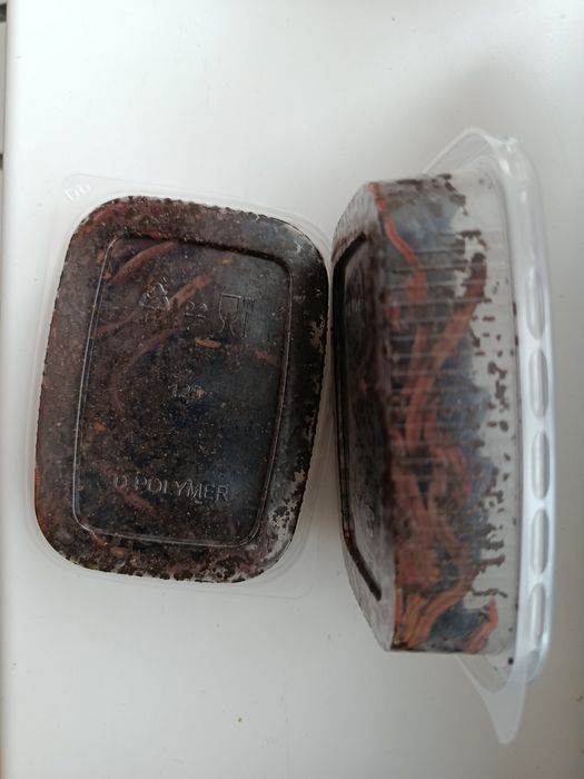 Черви дендробена для рыбалки