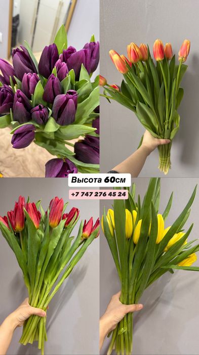 Цветы тюльпаны Букеты