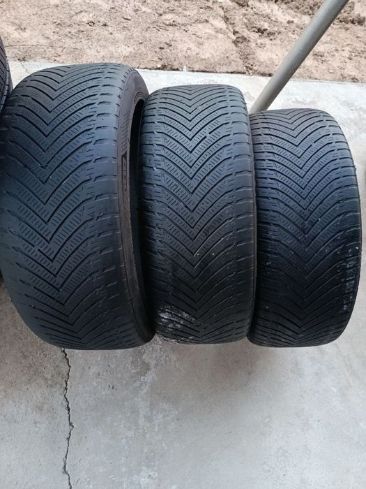 245_45_R19 Minerva 3 dona