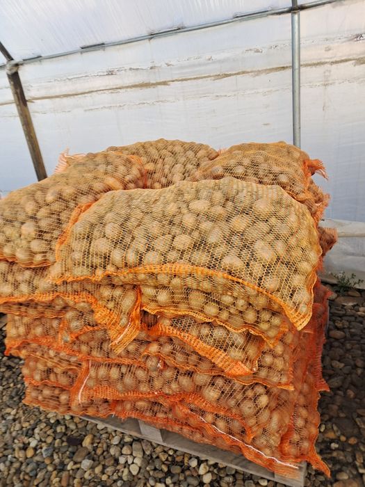 Cartofi de samanta elita