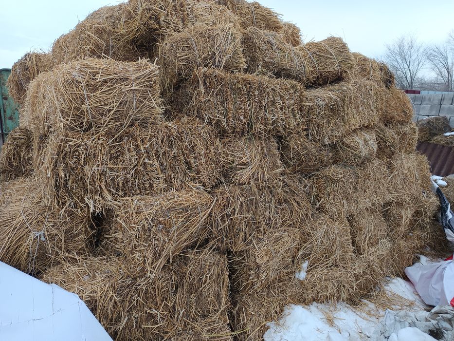 Сено в тюках, Тюки Шоп