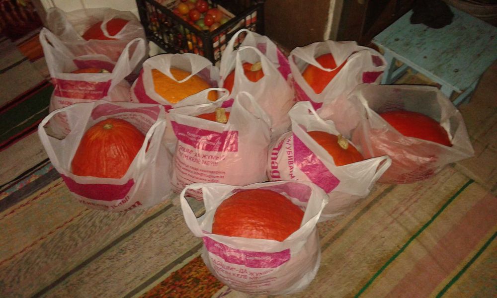 Продам тыкву. Продам тыкву.