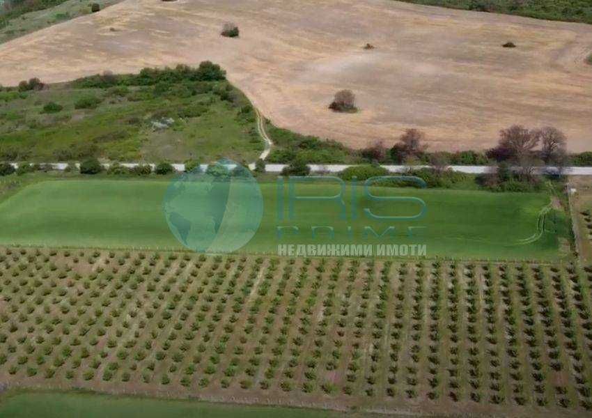 Продава се Земеделски имот в с. Осмар, Област Шумен -  кв.м за 4330 €/дка - Снимка #5